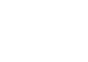 Logo optovision